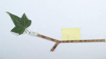 stop motion final short animation