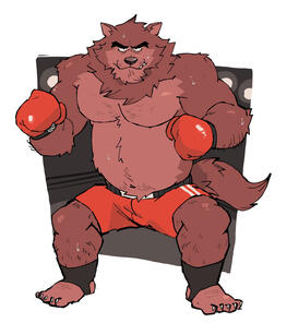 step in the ring